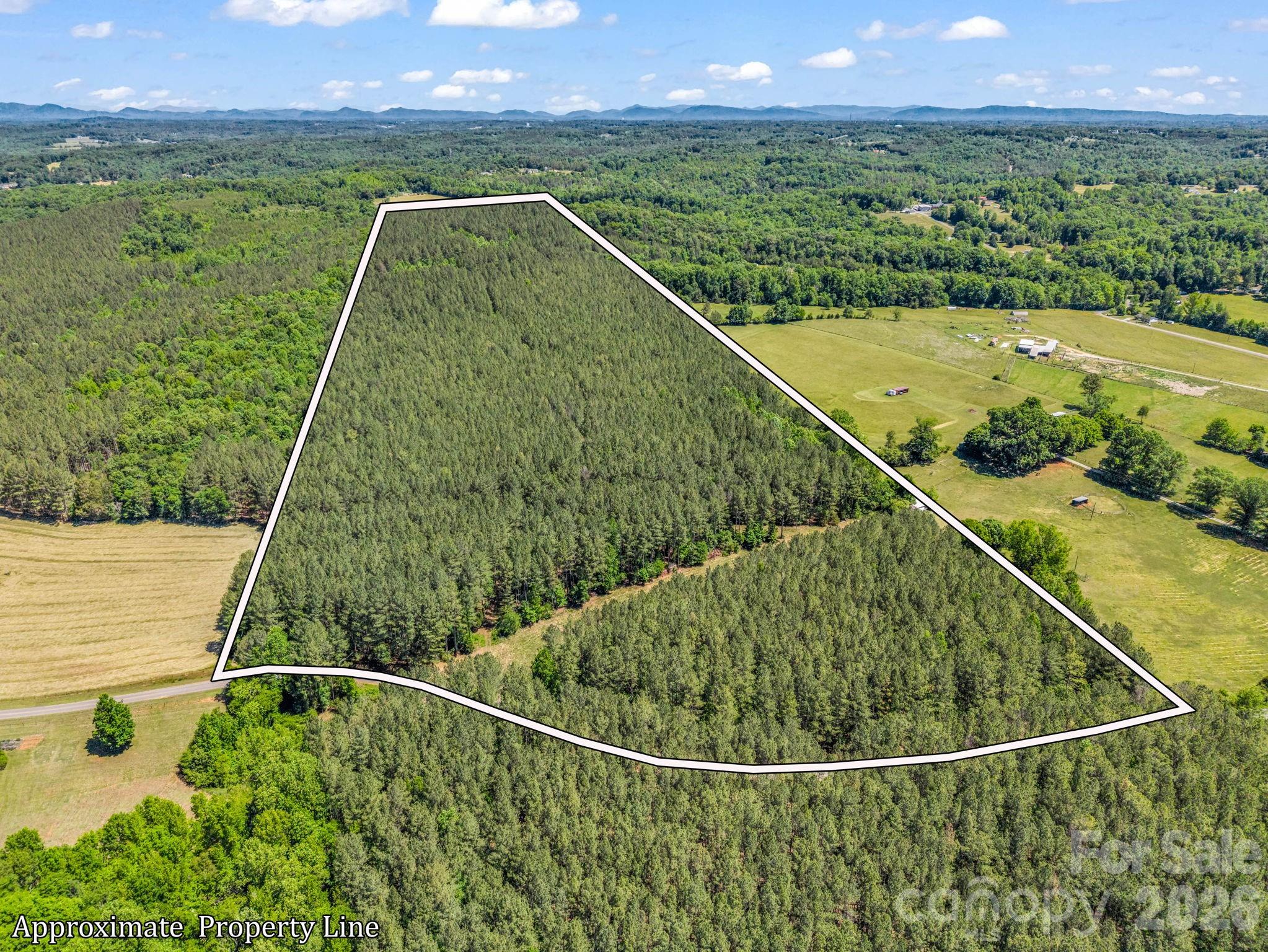 Discover 57.4 surveyed acres of mature pine and hardwood forest with a network of private, maintained trails ideal for riding, hiking, and hunting. Enjoy easy access from a county-maintained paved road while still feeling completely tucked away in nature. With no deed restrictions and only standard county zoning in place, this property offers flexible multiple-use possibilities—recreational retreat, homestead, timber, or future development. Possibilities are truly unlimited.The property is just 14 minutes to the Tryon International Equestrian Center and 5 minutes to Cleghorn Golf Club and resort.  The convenience factor to necessary amenities  from this property is paramount.  Build the dream home on a quiet and peaceful property where only you decide the limits.