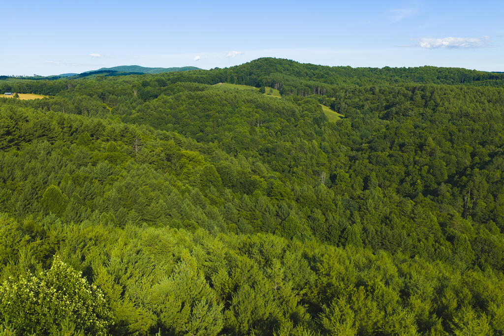 Check out this +/- 215.7 acres of wooded, undeveloped land located off Sawmill Hill Rd. The property is mostly mature woodland with a small stream running throughout, making it ideal for hunting, recreation, timber investment, or great for a mountain retreat. With its peaceful setting and acreage, this land provides potential for those seeking seclusion. The property is also conveniently located to Radford, VA and the Town of Floyd with only a 25-30 minute drive.