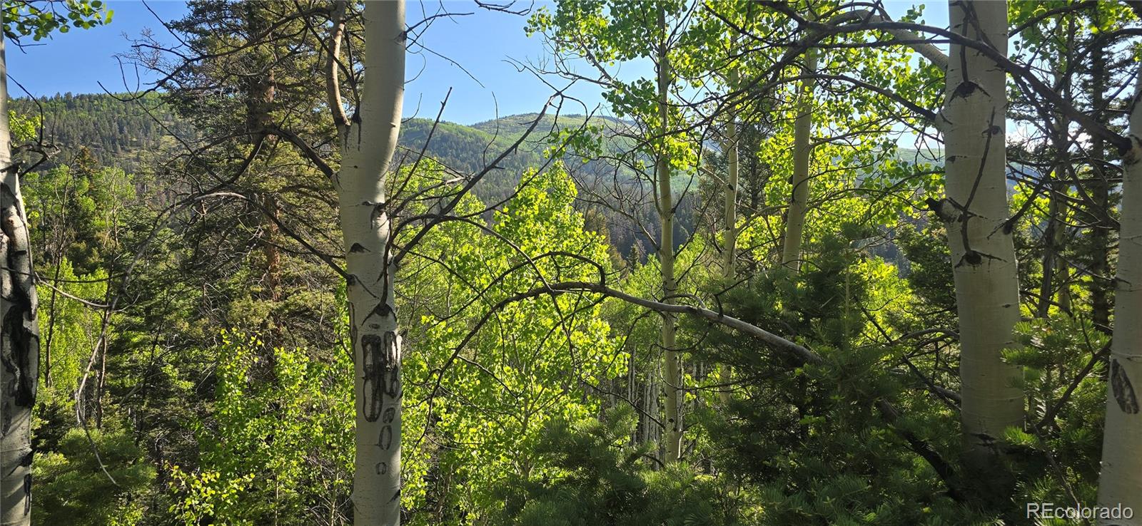 Lot 6385 Jaquez Road