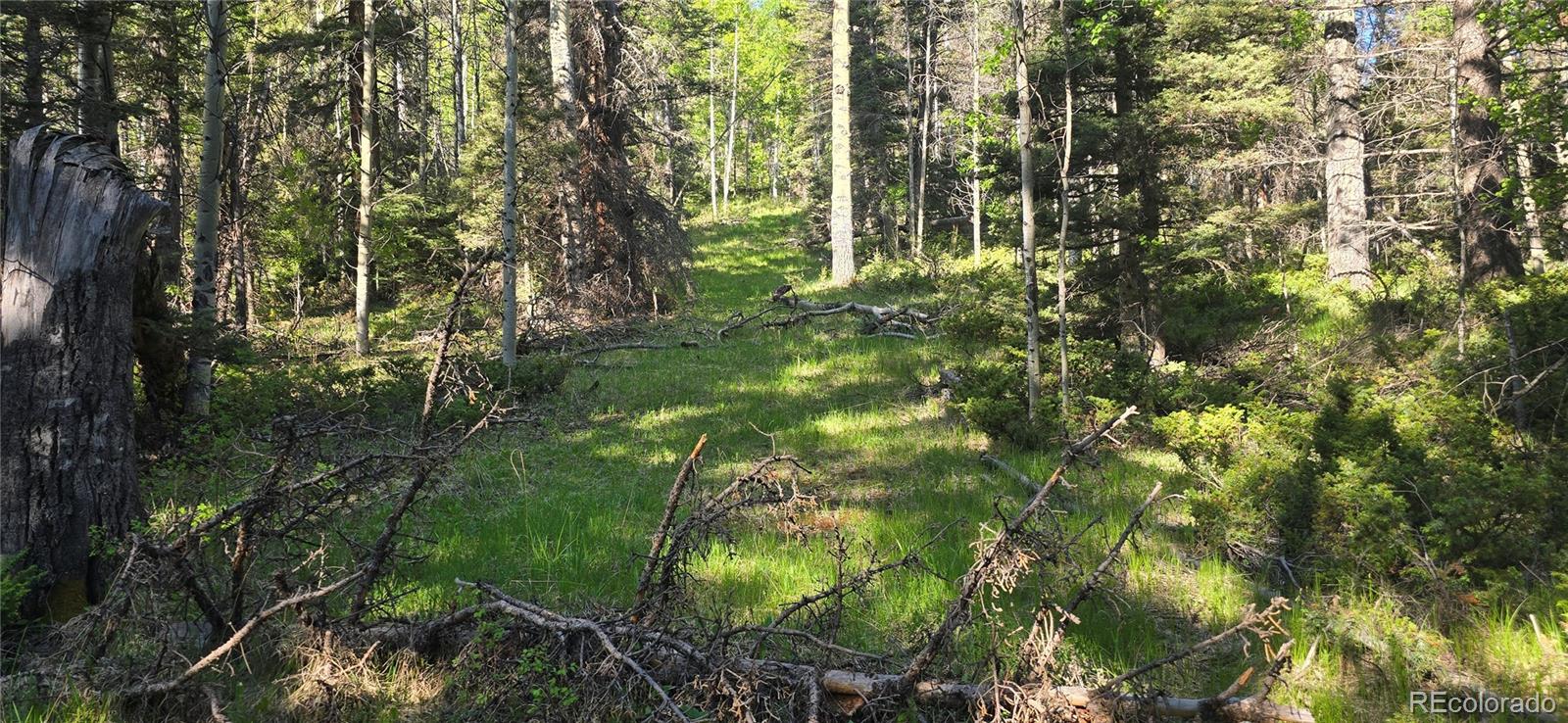 Lot 6385 Jaquez Road