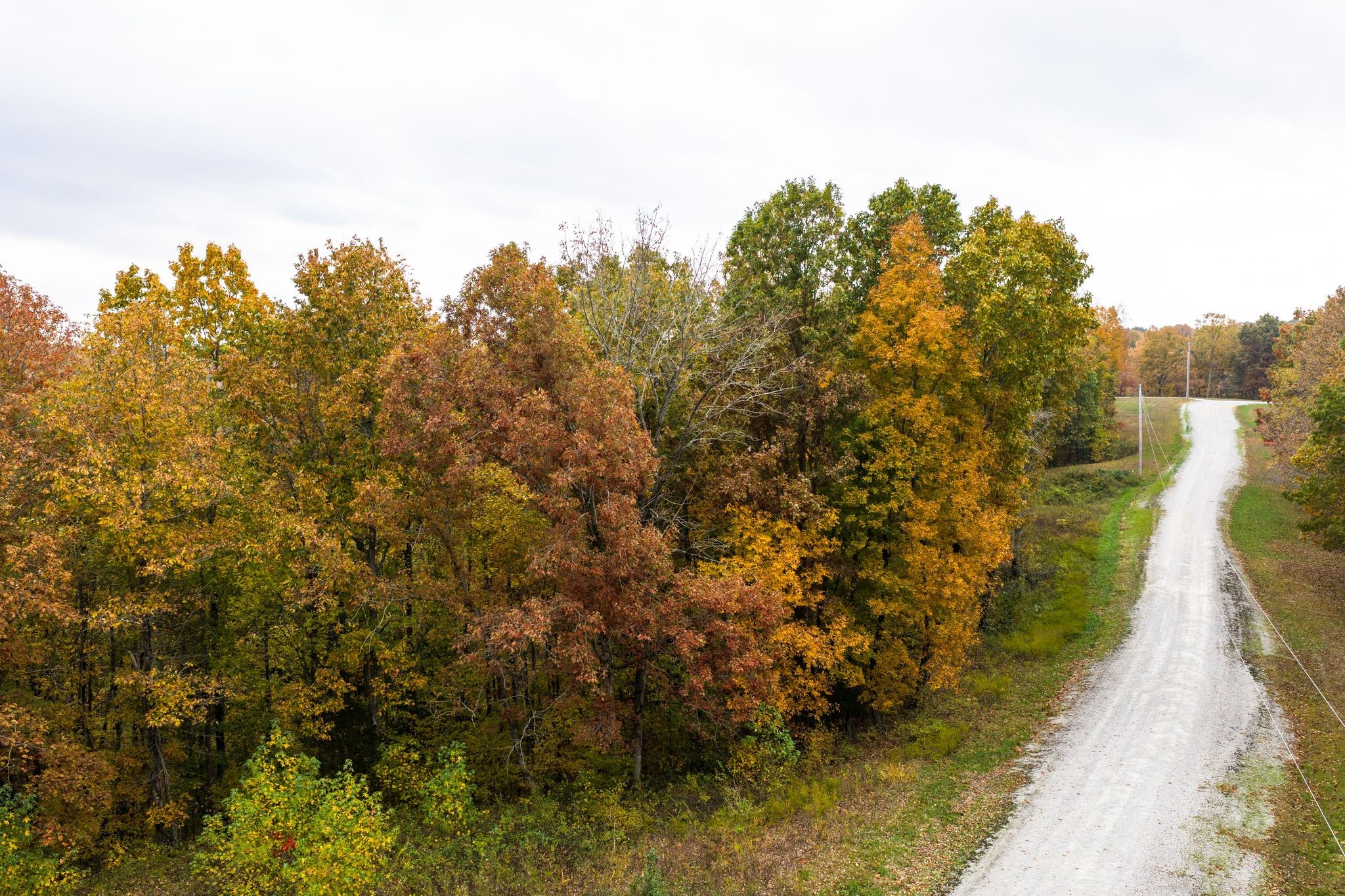 0 Overview Lane