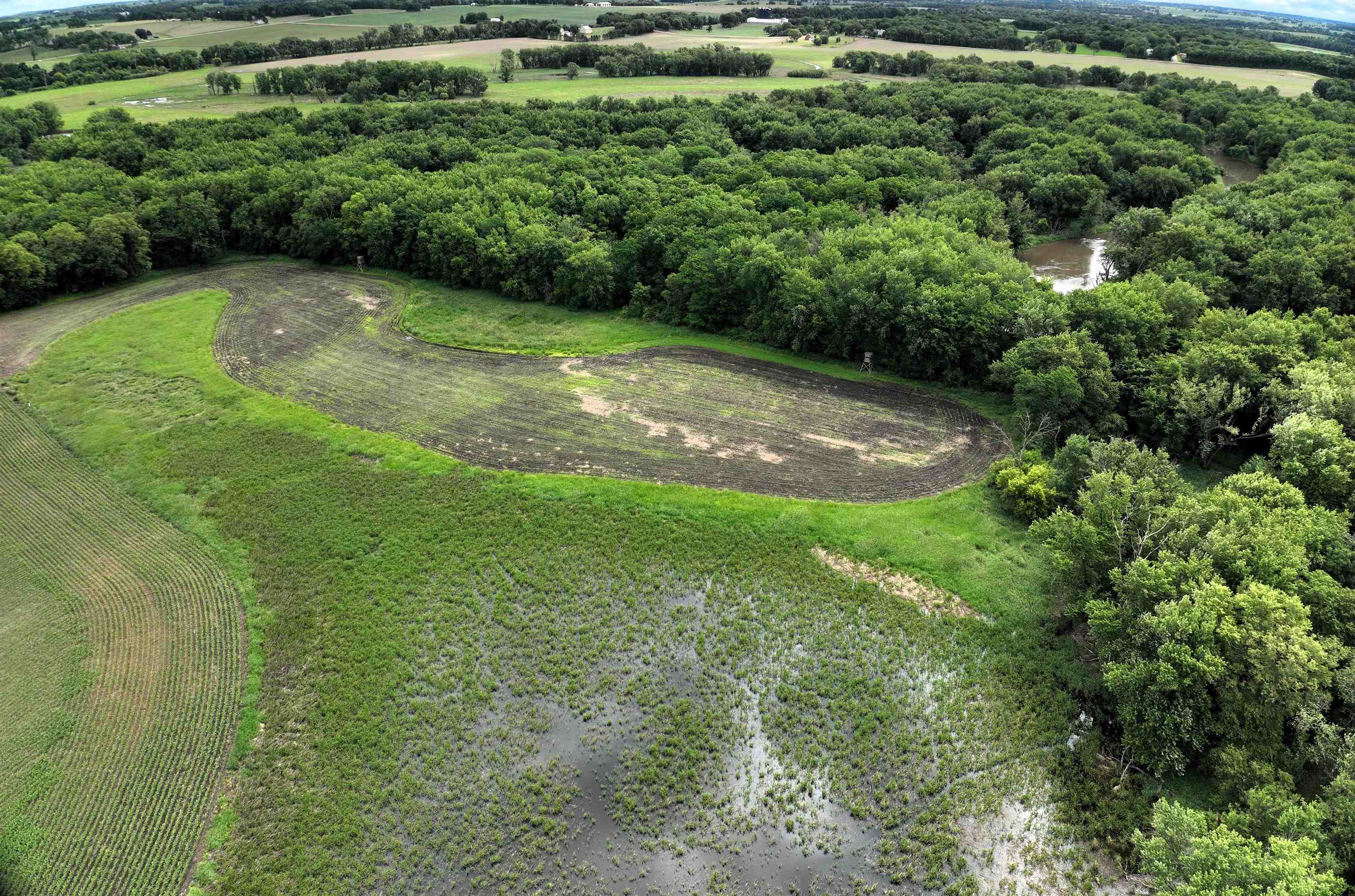 89.14 Acres Smokey Hollow