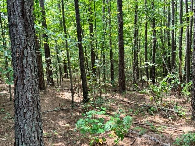 100 Shortoff Trail NW