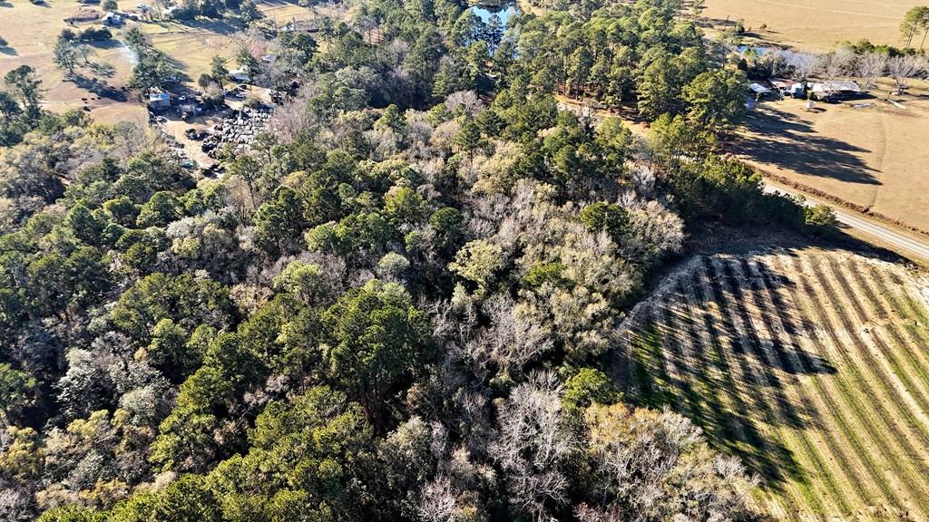 This 43 acre multi use tract has everything!  There are 13 wooded acres with a creek.  The remaining acreage is open, currently used as farmland.   Call today for more information on this great property and be sure to take a look at the drone video here for a better view: https://galleries.page.link/gpbBT