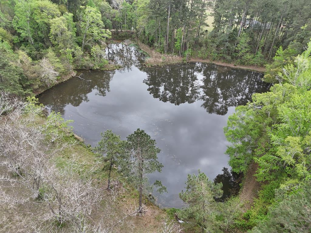 Land, lots of land to build your dream. 16-acre tract, towering trees and a Fish Pond, Pecan Trees, and Pine Trees! Super clean access to the pond making it a great place to fish. Everywhere you look is beautiful nature abounding. Driveway up the hill leads onto a grassy knoll dotted with mature volunteer pines. Level access to the 1.25+/- acre pond you will enter a small 20+ tree pecan orchard surrounded by woods. Full shade in the summer and plenty of sun in the winter. Then you have the orchard of pecan trees. There is a nice wooded buffer along the road frontage for privacy. An Old Growth Hardwood Ridge with an incredible change in elevation angles down to Rice Branch Creek which is the west property line. The slope down to the creek will make you think you are up in North GA. Take time to explore this Ridge. Big Magnolias and Hickory Trees, acorn-producing Oaks, and what I thought was a big old Bay tree. A very nice place to have a walking trail. Big Pine Timber on the South side of the pond. Be careful going across the footbridge on the dam. 550' of Road Frontage on Hwy 84. Over 1,300' frontage on the creek. The property has been surveyed. There are fish in the pond and they will take a fly. Good soils for homesites on the property. Plenty of room for a shop. Check with Grady County about all the options this property has and how you can use it. Multiple Homes, a Business, or just a get away...take a look and check with Grady County and see how this property could work for you. These sellers bought this tract last year to build a assisted living on but have since purchased a facility. Now you can take advantage of this opportunity. Special thanks to Crocker land for information provided herein.