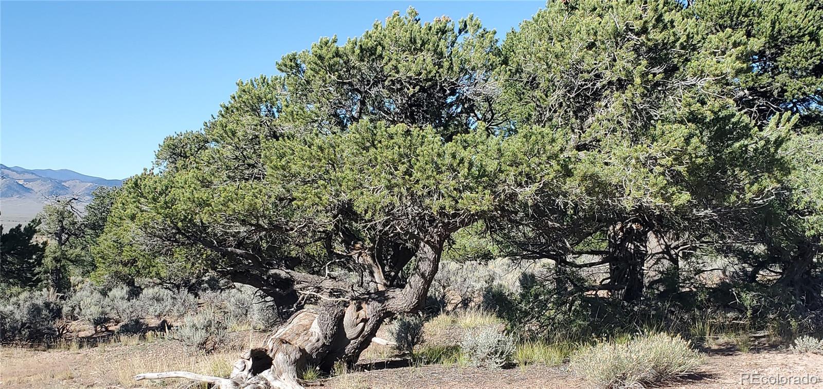 Lot 3475 Mitchell Road