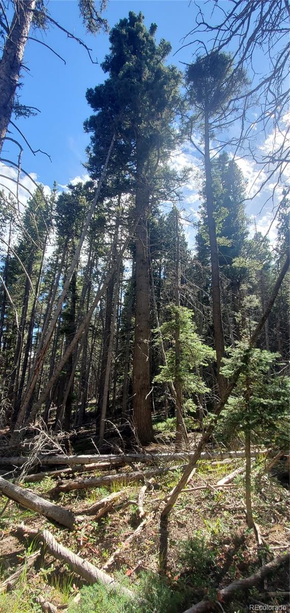 Lot 3427 Grojean Drive