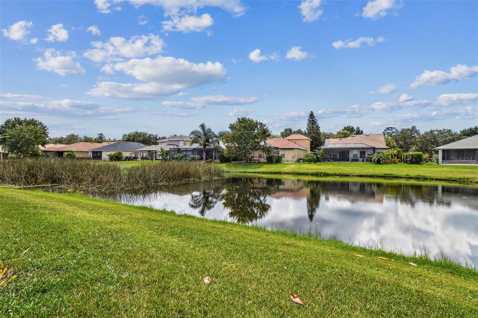 8249 Cressida Court