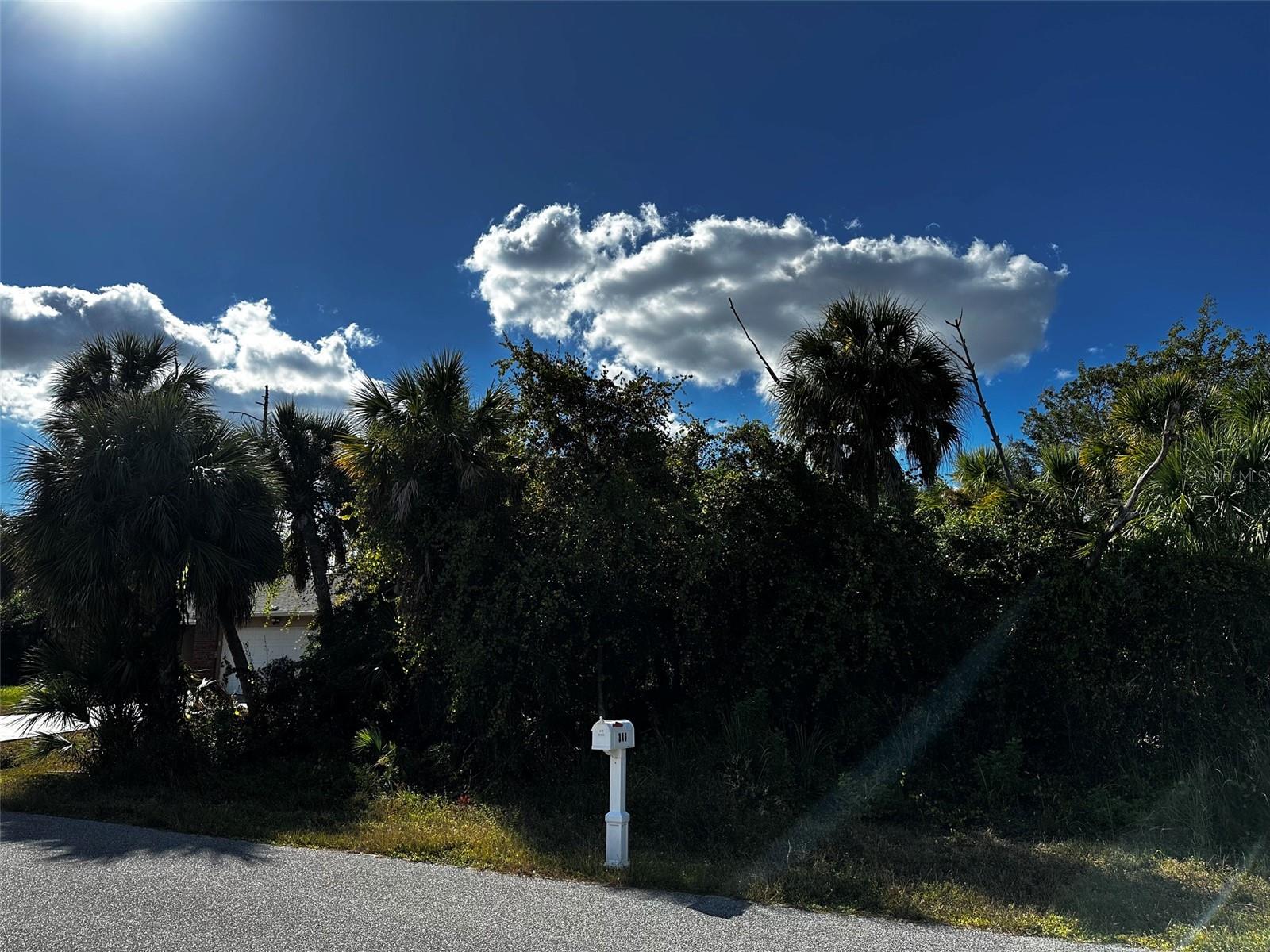 347 Troutdale Street