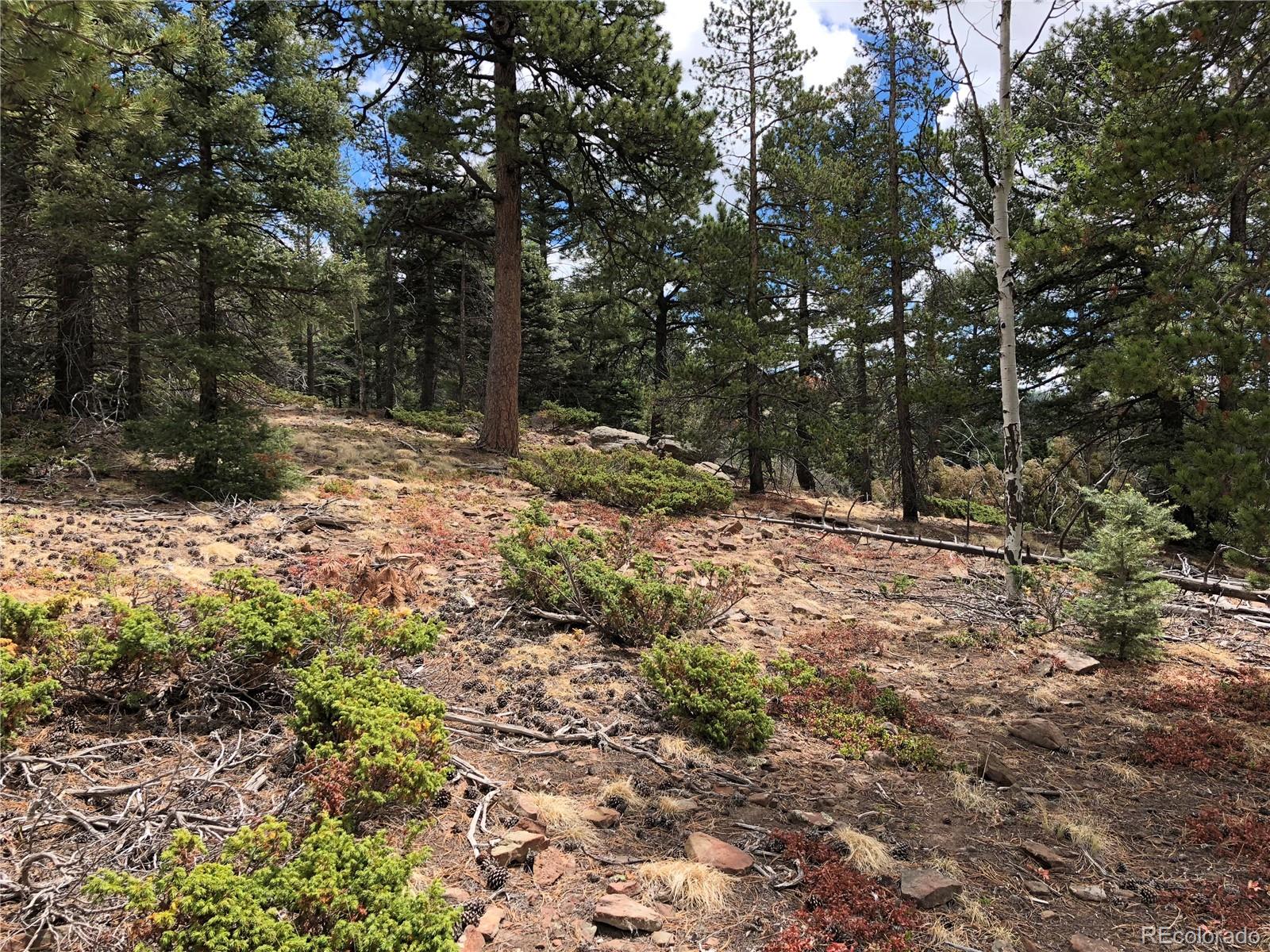 Lot 174 Ferris Place
