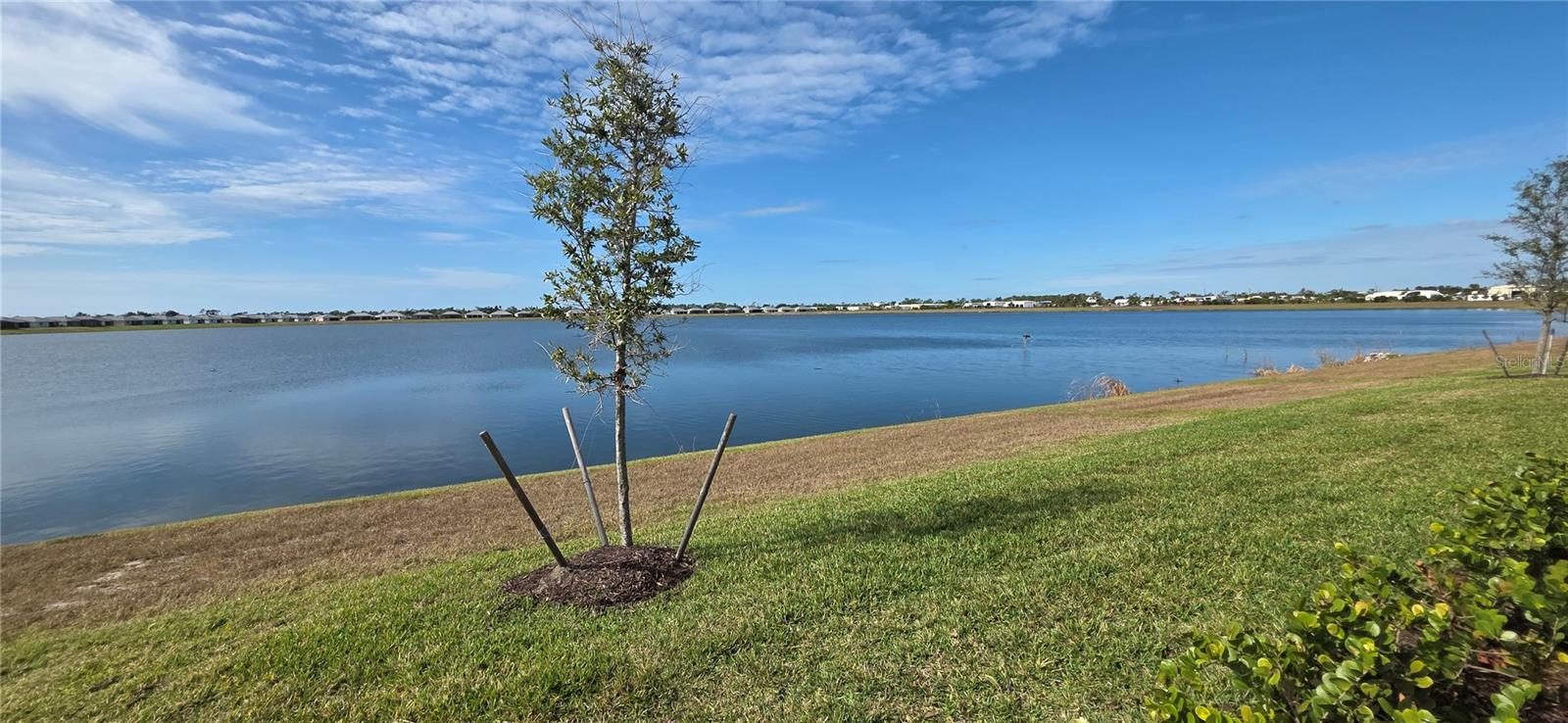 8140 Shore Lake Drive