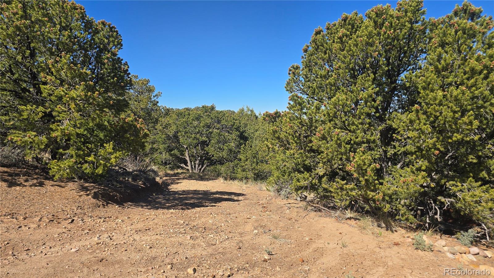 Lot 5996 Rod Road