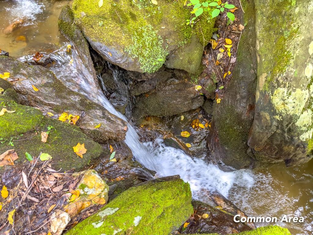 These three adjoining lots, affectionately known as the Waterfall Lots, offer a truly magical setting for a mountain retreat or creative getaway. Each lot is build-ready with an existing driveway and provides serene privacy while overlooking the community waterfall and offering views of the stocked pond. Imagine a tranquil oasis where the sound of cascading water and gentle nature surrounds your home every day.  The lots are wooded, gently sloping, and perfect for a dream cabin, luxury mountain home, or quiet studio retreat. Light restrictions protect your investment and maintain the neighborhood's beauty—campers and mobile homes are not permitted. The combination of privacy, access, and natural charm makes these lots ideal for the imaginative buyer seeking a peaceful escape.  Just 2 miles from the Blue Ridge Parkway, the development provides easy access to scenic drives, hiking, and outdoor adventure, yet feels tucked away in its own mountain world. Residents also enjoy community amenities including a fishing pond, a picturesque covered bridge, and a picnic area for family and friends.  Despite its secluded feel, the property is conveniently located less than 20 minutes to town for groceries, 28 minutes to Mount Airy, NC, about an hour to Winston-Salem, 75 minutes to Blacksburg, 90 minutes to Greensboro, and under two hours to Charlotte. The neighborhood is a well-balanced mix of full-time residents and vacation homes.  Photos can't capture the experience—you have to see it in person. These lots offer a rare combination of **build-ready land, magical water features, and peaceful mountain scenery**—a place to relax, create, and recharge in the Blue Ridge Mountains.