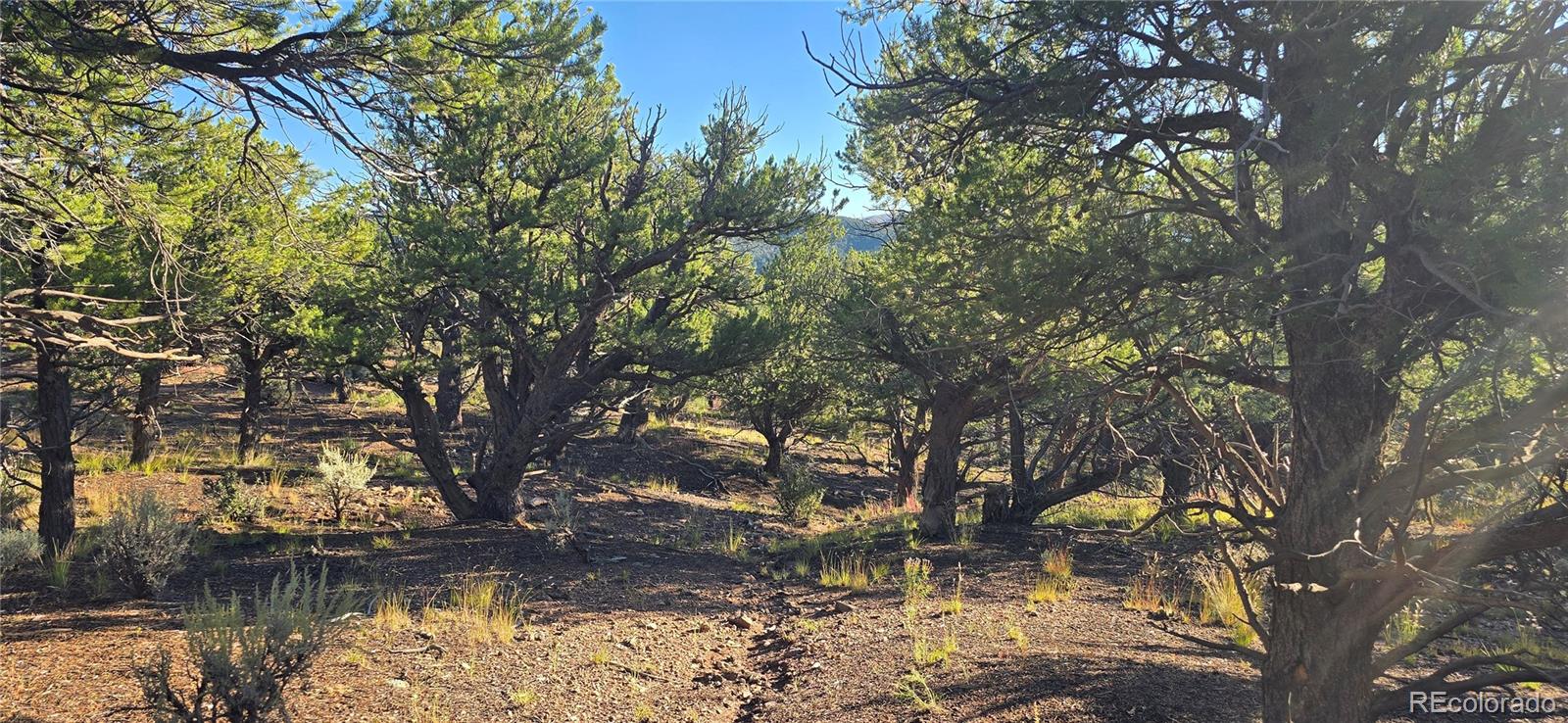 Lot 7381 Platten Road