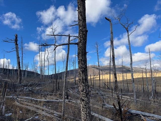 Lot 2397 Petito Drive