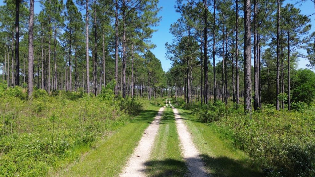 Within the boundaries of the Red Hills Region and located on the Banks of the Ochlocknee River is Gadwall Farms.  428+/- Acres of pristine hardwood and longleaf forest land stewarded under best management practice to produce exceptional forest land and abundant quail, deer, turkey, and duck.  Gadwall Farms is a true wonderland and has been kept wild and untouched enough in places where there is still something to be discovered around every bend and down every trail.    The custom home boasts reclaimed wood throughout with a lower level floor plan boasting two living areas, stacked bunks for guest hunters, and a stone fireplace for those cool nights.  Two spacious bedrooms are located upstairs. (HIgh-Speed Internet/ Fiber Optic, Under Ground Cable to Home),  There is a detached apartment/garage appointed with all the extras with drive-through double garage doors for easy in and out access. Some of the land improvements include a dove field with faux powerline, a 4+ acre plant and flood duck pond, a kennel, a tractor shed, multiple feed plot areas, and miles of trails for walking or riding.  Live water of Tired Creek and the Ochlocknee River make up the entire Eastern boundary of Gadwall Farms. River Systems and Creek Systems are the absolute best wildlife corridors.   Dove or Duck, it's the shooter's choice at Gadwall Farms...dedicated dove field with a proven track record or a plant and flood duck pond on the Ochlocknee River fly-way.  (Retriever trainers may want to take a look at this  duck pond!) Conveniently located between Tallahassee Fl,   Cairo, GA, and Thomasville GA.  249+/- Acres are protected for future generations under a conservation easement held by Tall Timbers.  Underground Utilities and a generator make this property "storm-prepared" in the best way.  (Gated) (Security)
