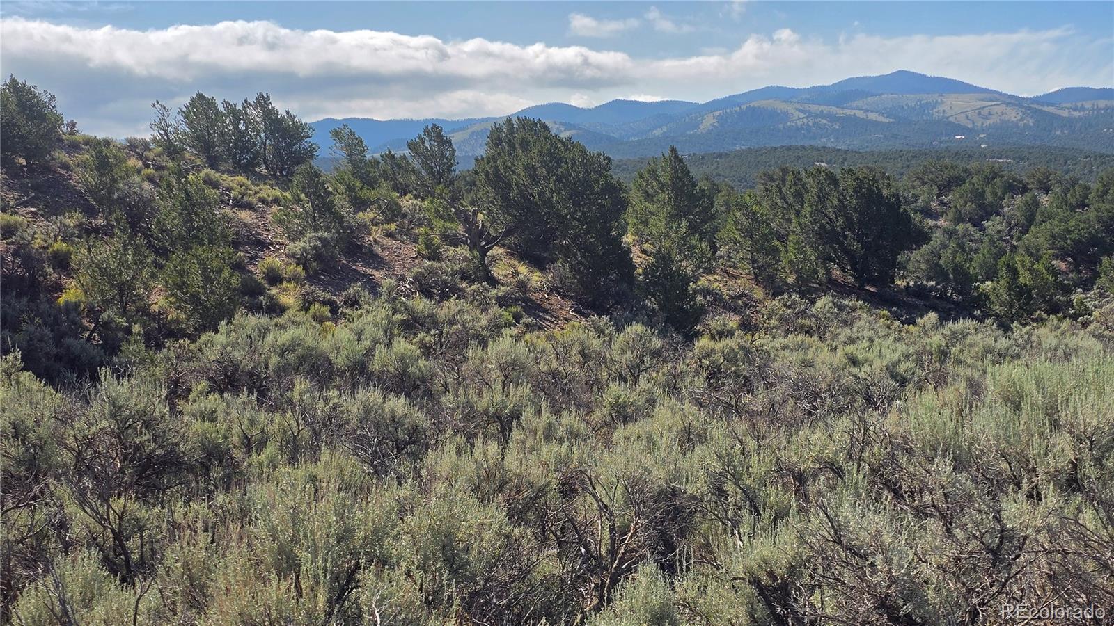 Lot 4296 Renfield Road