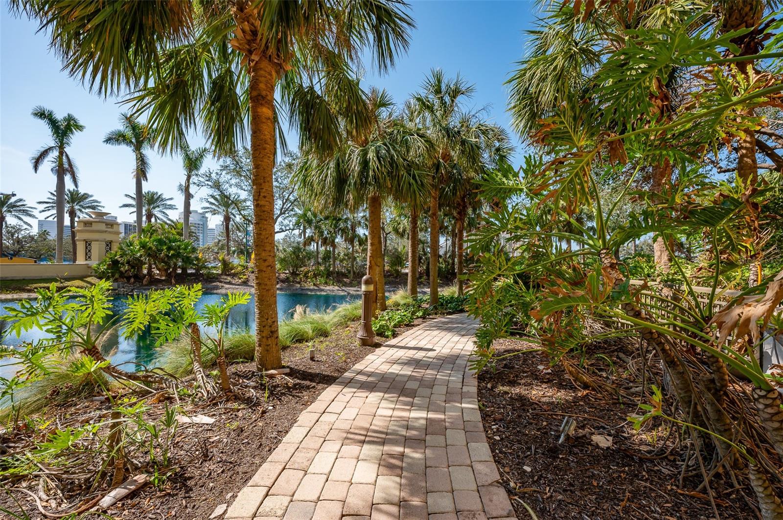 800 N Tamiami Trail 815
