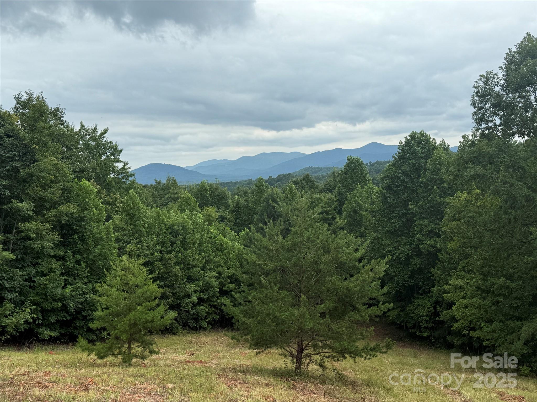 166 Coal Pit Mountain Drive 359