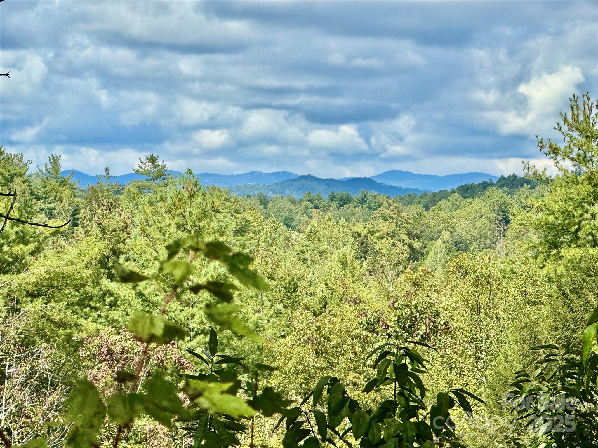 2088 Thoroughbred Way Lot G25