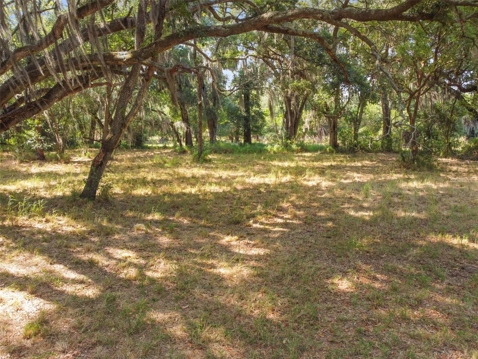 8221 Carey Road