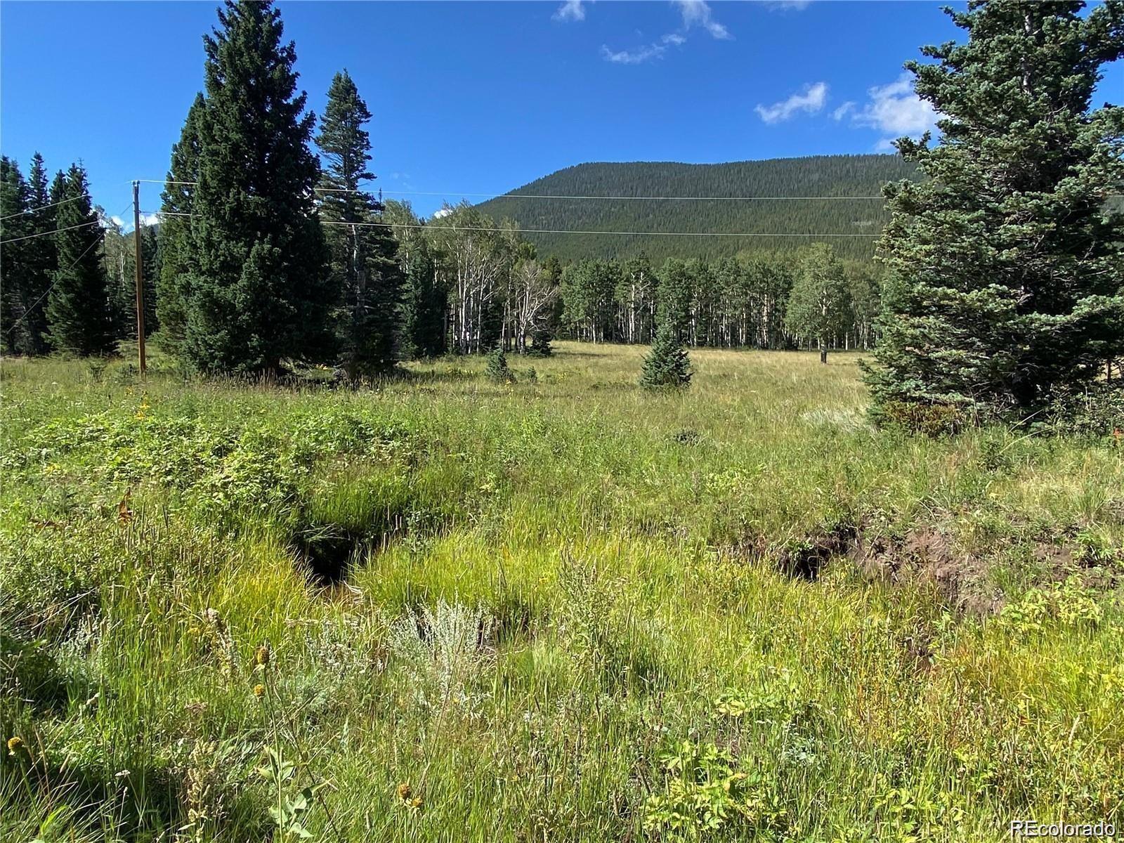 Lot 3141 Forbes Loop Road