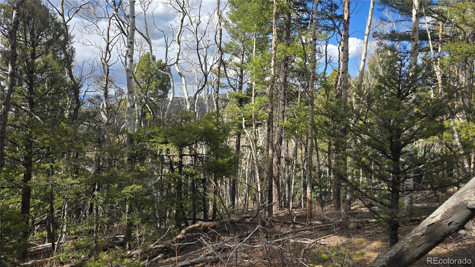 Lot 5261 Scott Road