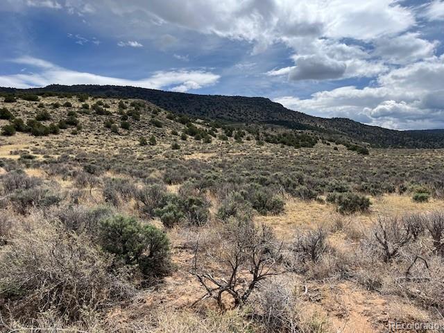 111 Black Elk Trail