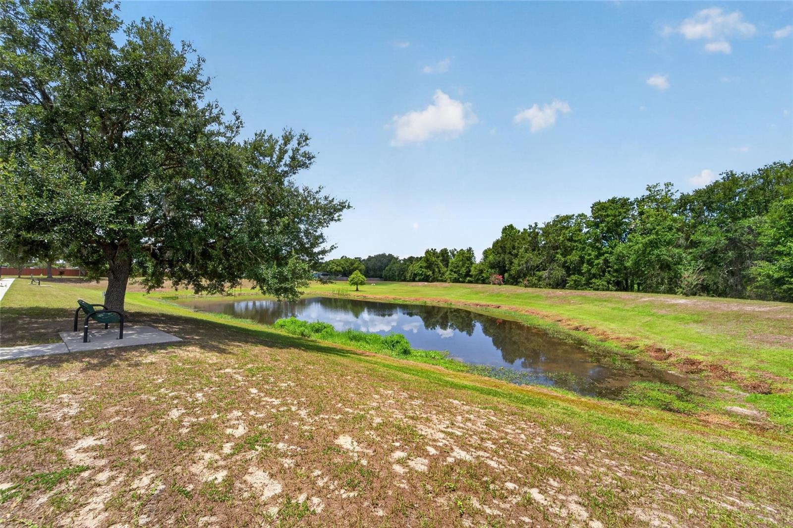 12124 Colonial Estates Lane