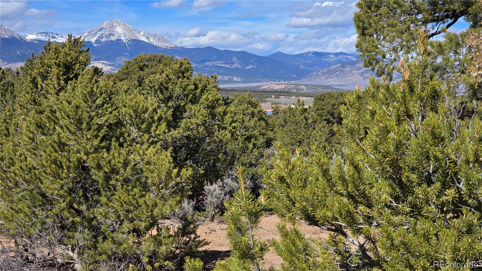 Lot 409 Williams Road