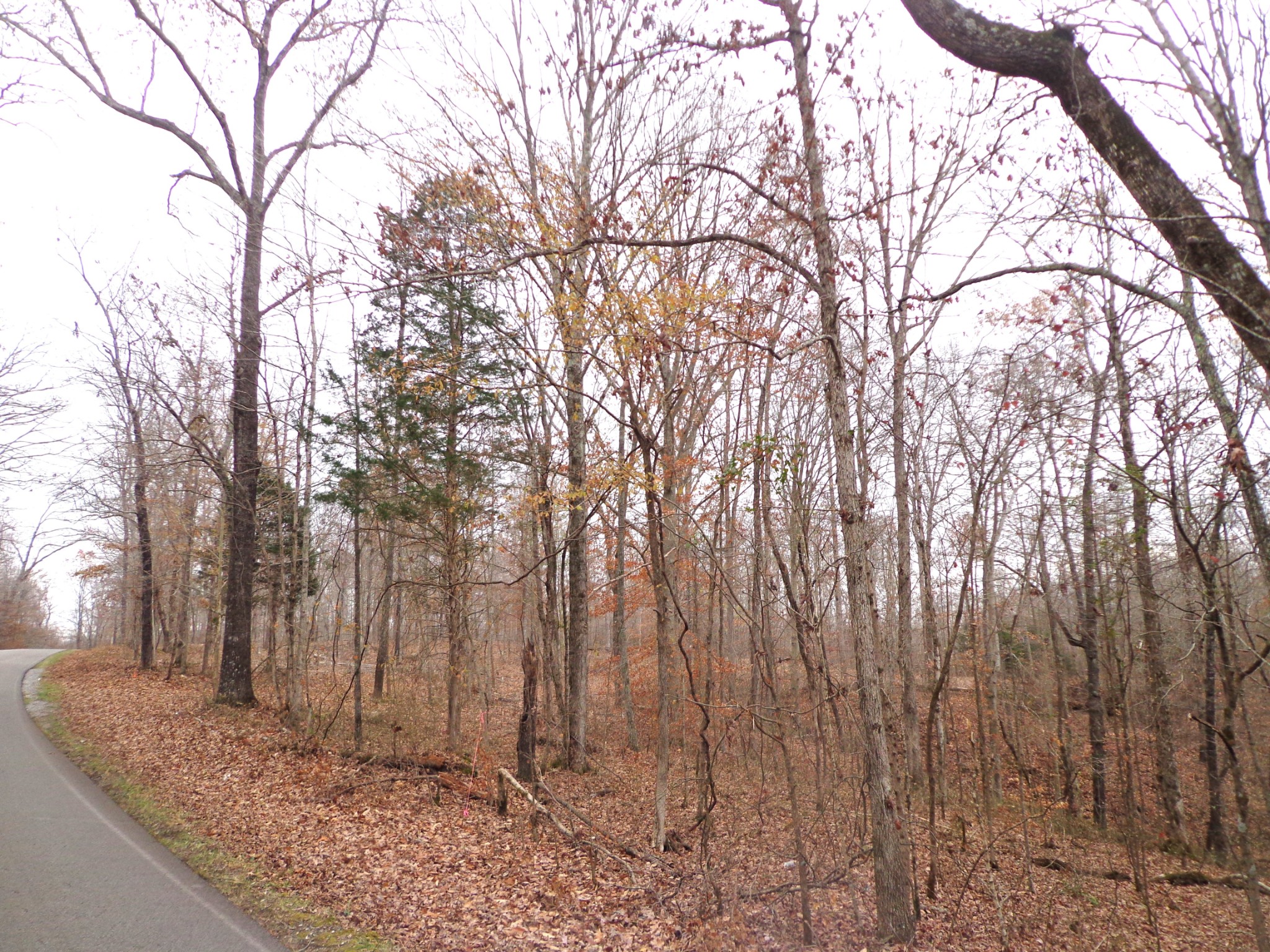 0 Hillcrest Road
