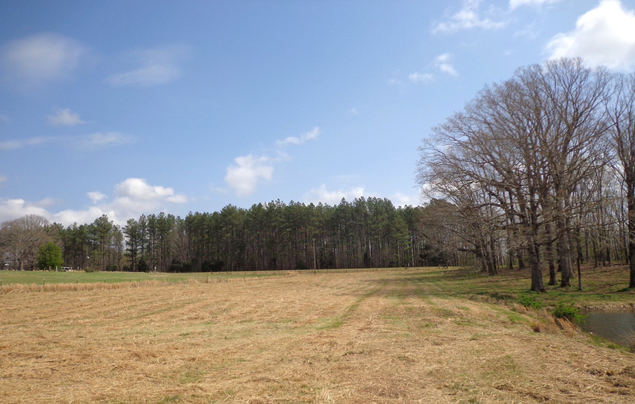 1551 Tennessee Ridge Road