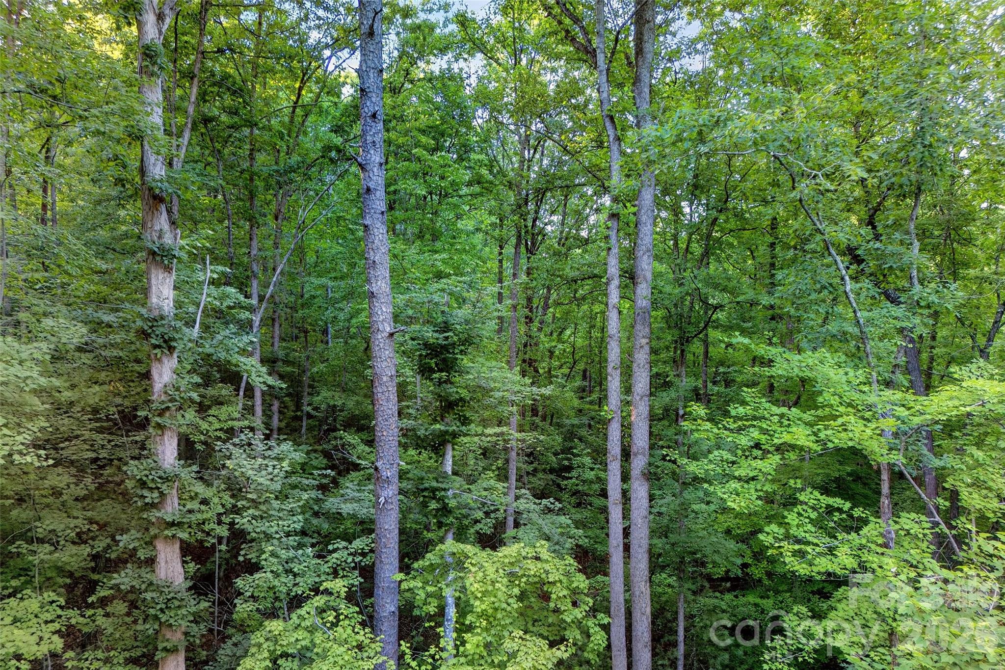 00 Yancey Road