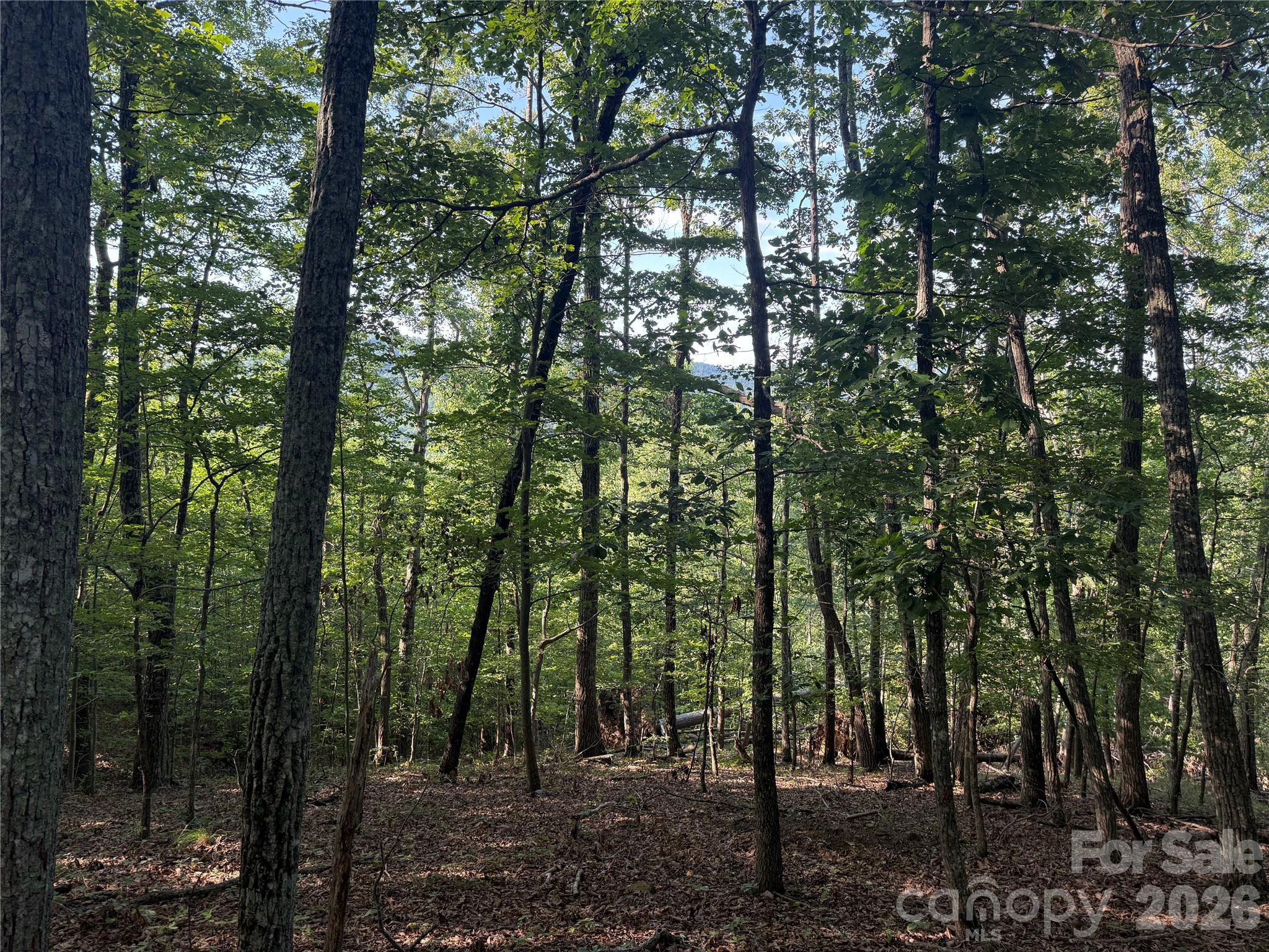 V/L Scenic Vista Drive 332/333