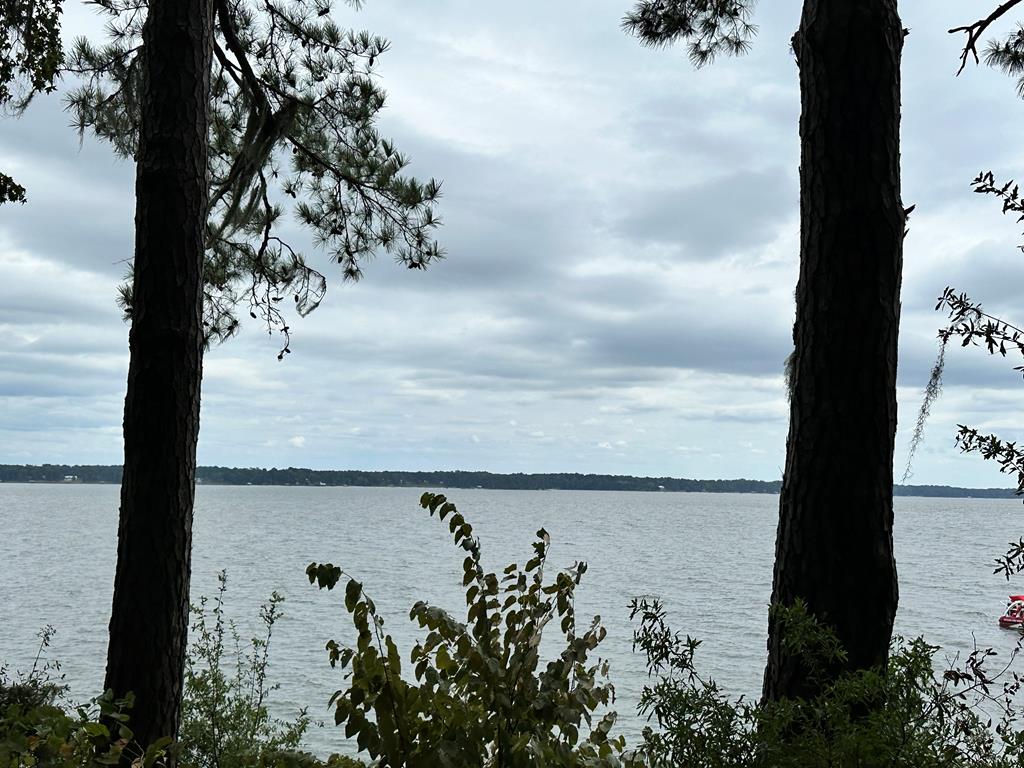 Eufaula Waterfront Lots & Land for Sale