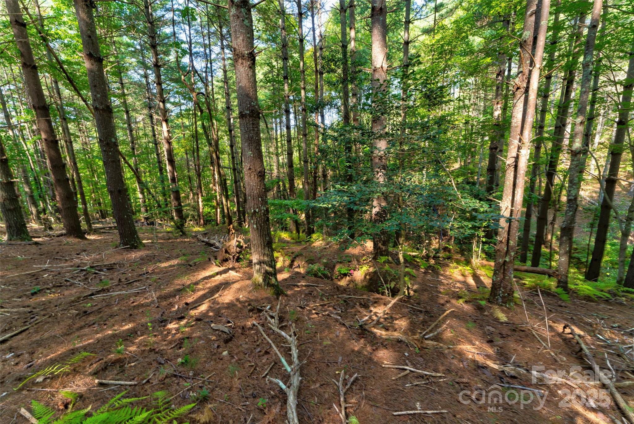 77 Whispering Pines Trail 82