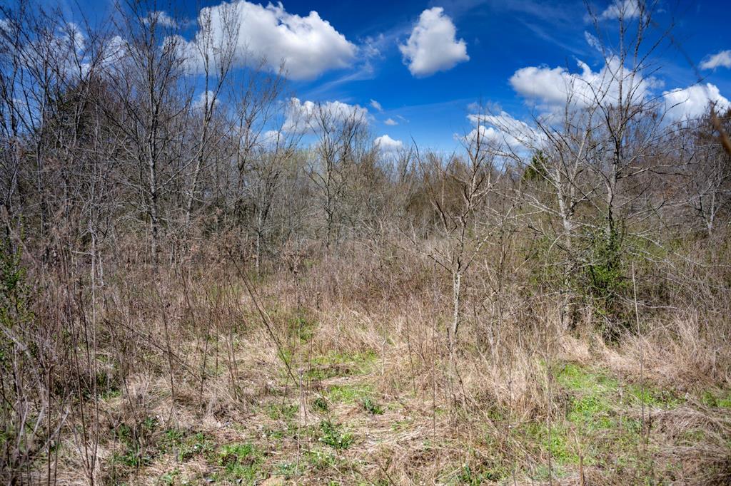 800 County Road 2390