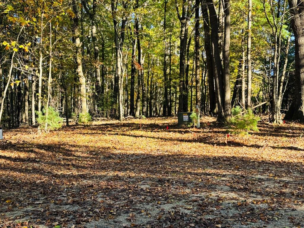 Discover an exceptional opportunity with nearly 15 acres of beautiful countryside at the end of Cove Lane in Woodlawn, offering the perfect blend of privacy, convenience, and investment potential—just 15 minutes from I-77. Already subdivided into four separate lots, this versatile property is ideal for builders, developers, investors, or anyone looking to create a private estate. The level to gently rolling terrain features multiple prime building sites, while two picturesque streams enhance the property's natural beauty and character. Open, easily walkable acreage with minimal undergrowth makes it easy to explore, plan, and bring your vision to life. Whether you're looking to develop multiple homes, build your dream home with room to grow, create a peaceful mountain retreat, or invest in land with endless possibilities, this property offers the flexibility and potential to make it happen in a highly desirable location.