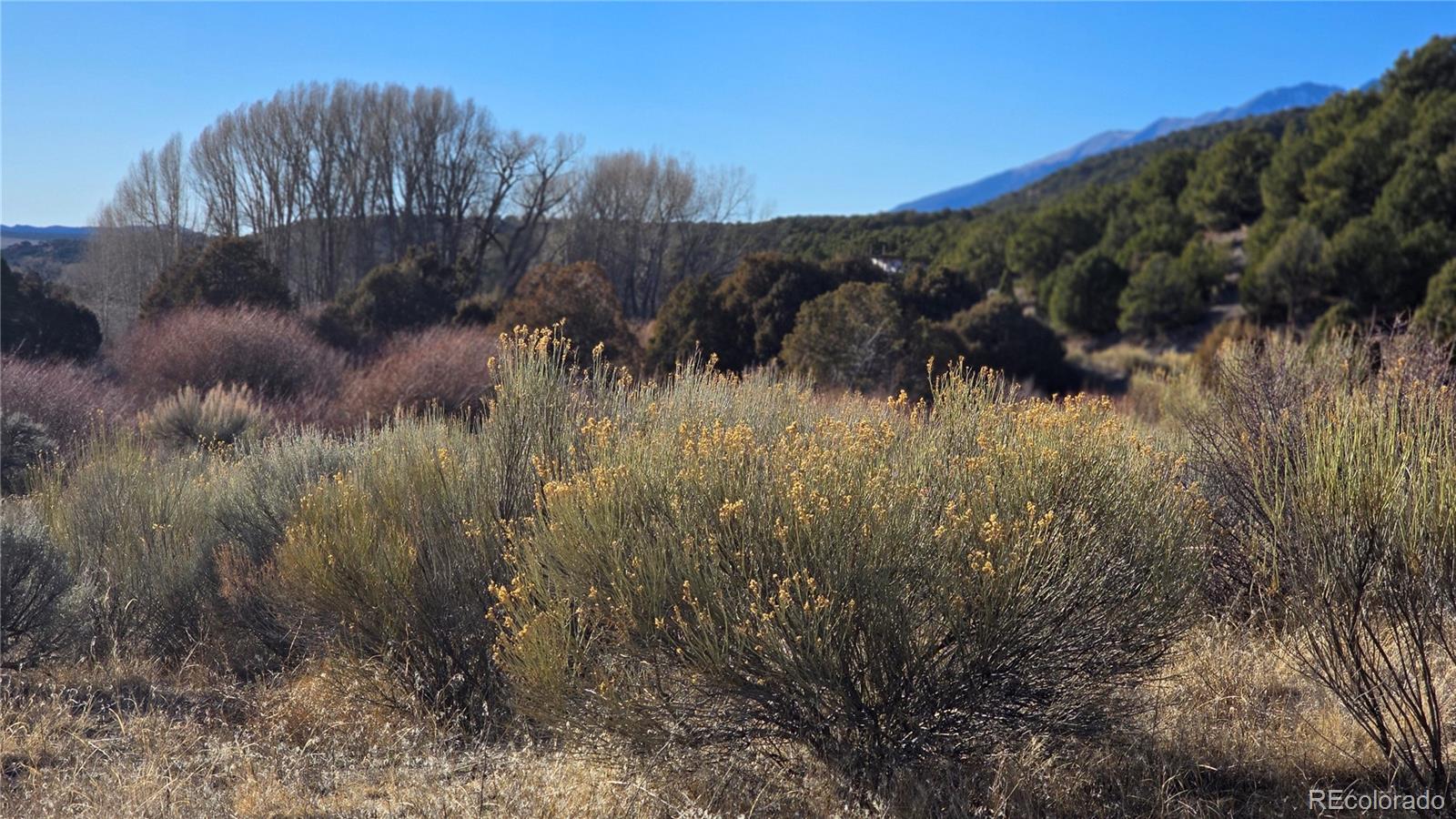 Lot 7542 Indian Creek Road