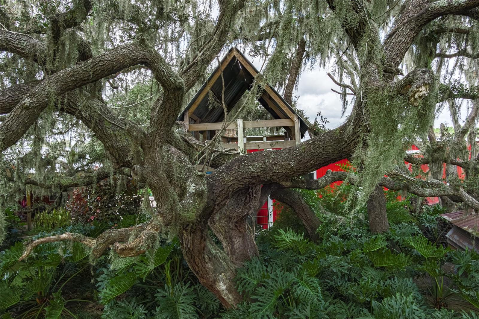 1126 & 1144 County Road 665