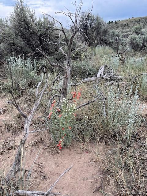 Lot 4516 Beekman