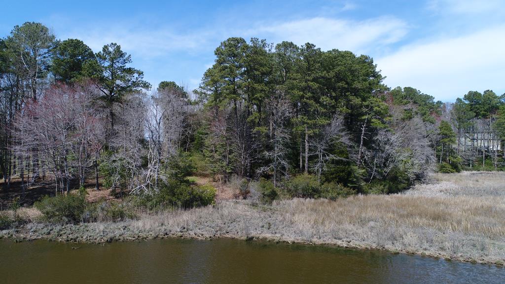 This waterfront home site is situated on Occohannock Creek.  This wooded lot allows the new owner to decide which trees they want to remove before building their home.  This property gently slopes toward the water front, so you will be looking over and out towards the water.  Just walking around the property, you will hear the natural wildlife sounds and maybe a few deer wandering through. As you walk the property with your agent the boundary lines are marked with orange tape to help get a sense of the property's boundaries.  Whether you are looking to build soon or later, take your time. Come up with a plan that best suits you. There are a lot of quality builders out there, just bring the plans. Come discover the shore today.  Priced under assessment, great value.
