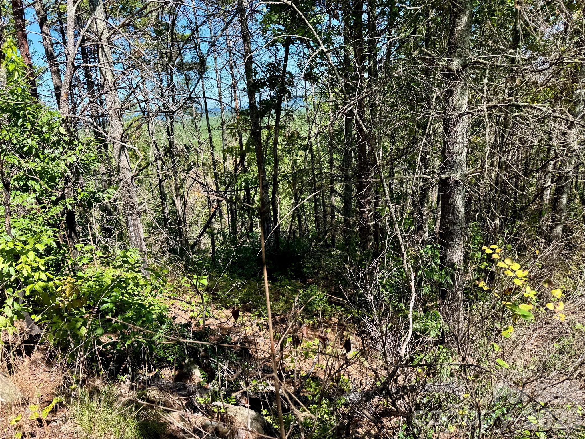 1.46 acres, Lot 48 Tomahawk Ridge Drive Lot 48