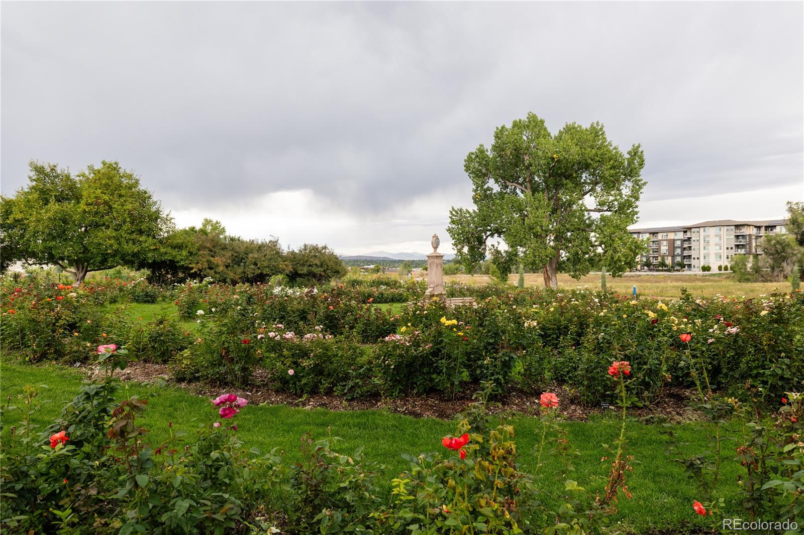 5916 S Sycamore Street