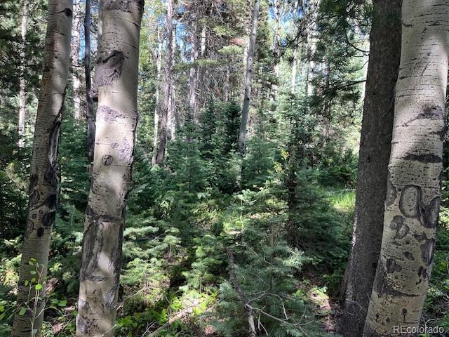Lot 2893 Coder Place