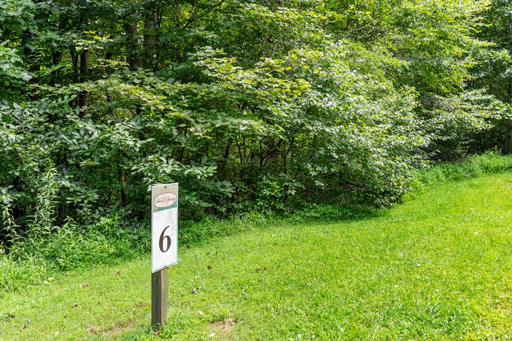 Imagine waking up to majestic sunrises with Blue Ridge Parkway views out your windows! This property in Patrick County presents a unique opportunity to embrace mountain living at its finest. From elevated vantage points, savor spectacular, unobstructed views, offering a truly iconic backdrop for your future home. The land itself is a natural wonderland, primarily wooded for ultimate privacy and a sense of seclusion. A delightful creek flows through providing soothing sounds and a picturesque feature. Essential infrastructure is already handled, with electric in place, simplifying your building process. Whether you envision a full-time residence, a weekend escape, or a nature lover's paradise, this extraordinary property provides the perfect foundation. Come check it out today!