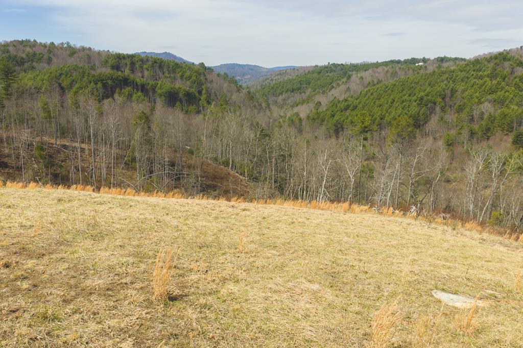 Check out this property that offers +/-28.419 acres with long-range views and significant water frontage along Elk Creek. Located in the scenic Elk Creek area of Grayson County, Virginia, the land features a balanced mix of open pasture and mature hardwoods, providing several building sites for a mountain home or getaway. The northern boundary is defined by Elk Creek, known for its beauty and recreational appeal. The property is fenced and located near Fries, Independence, the New River, and Jefferson National Forest. This is the perfect setup for a rural residence or recreational retreat.