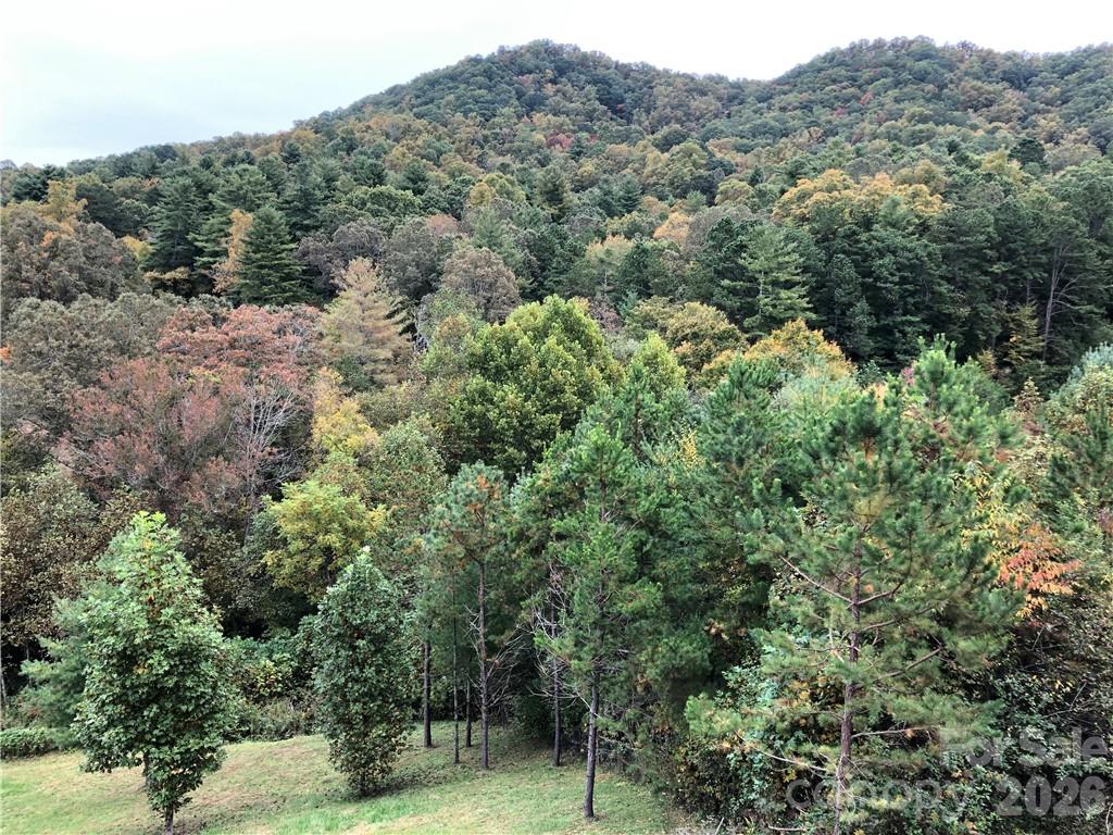 836 Burney Mountain Road