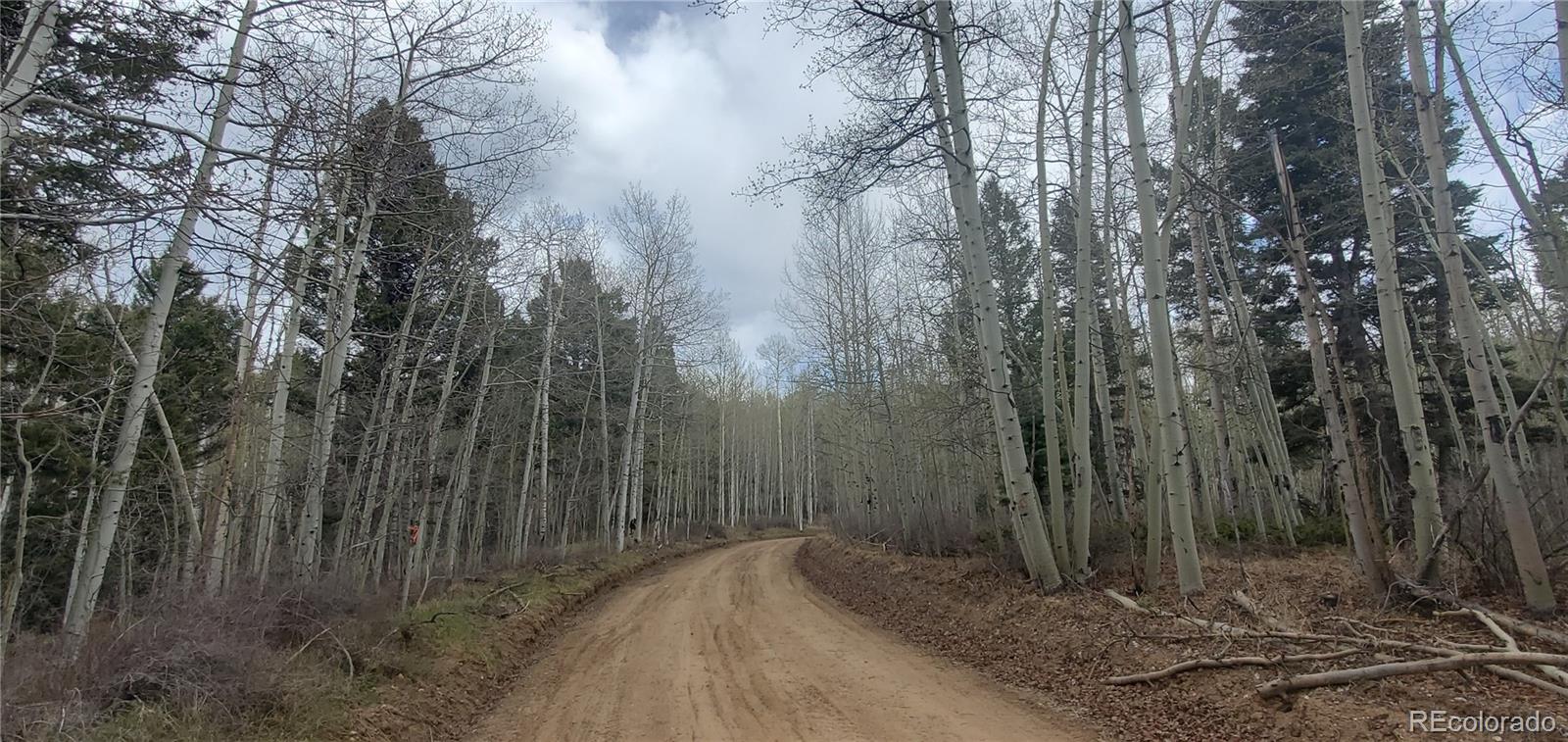 Lot 6090 Vreeland Road