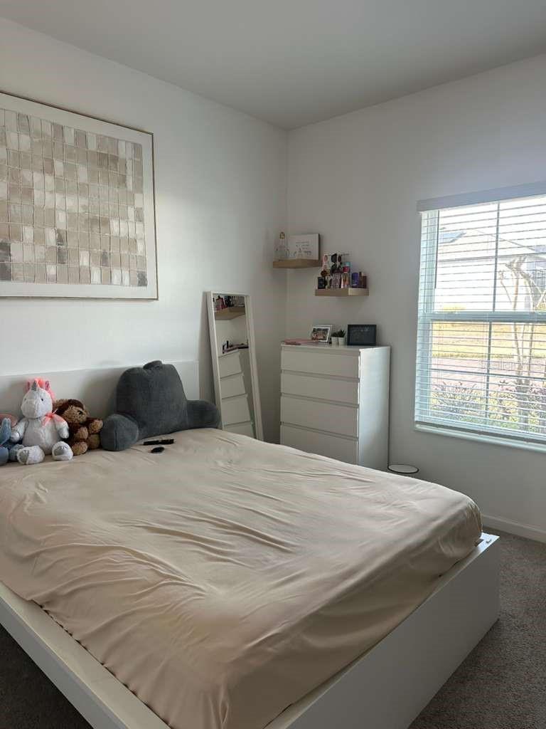 441 Disa Drive